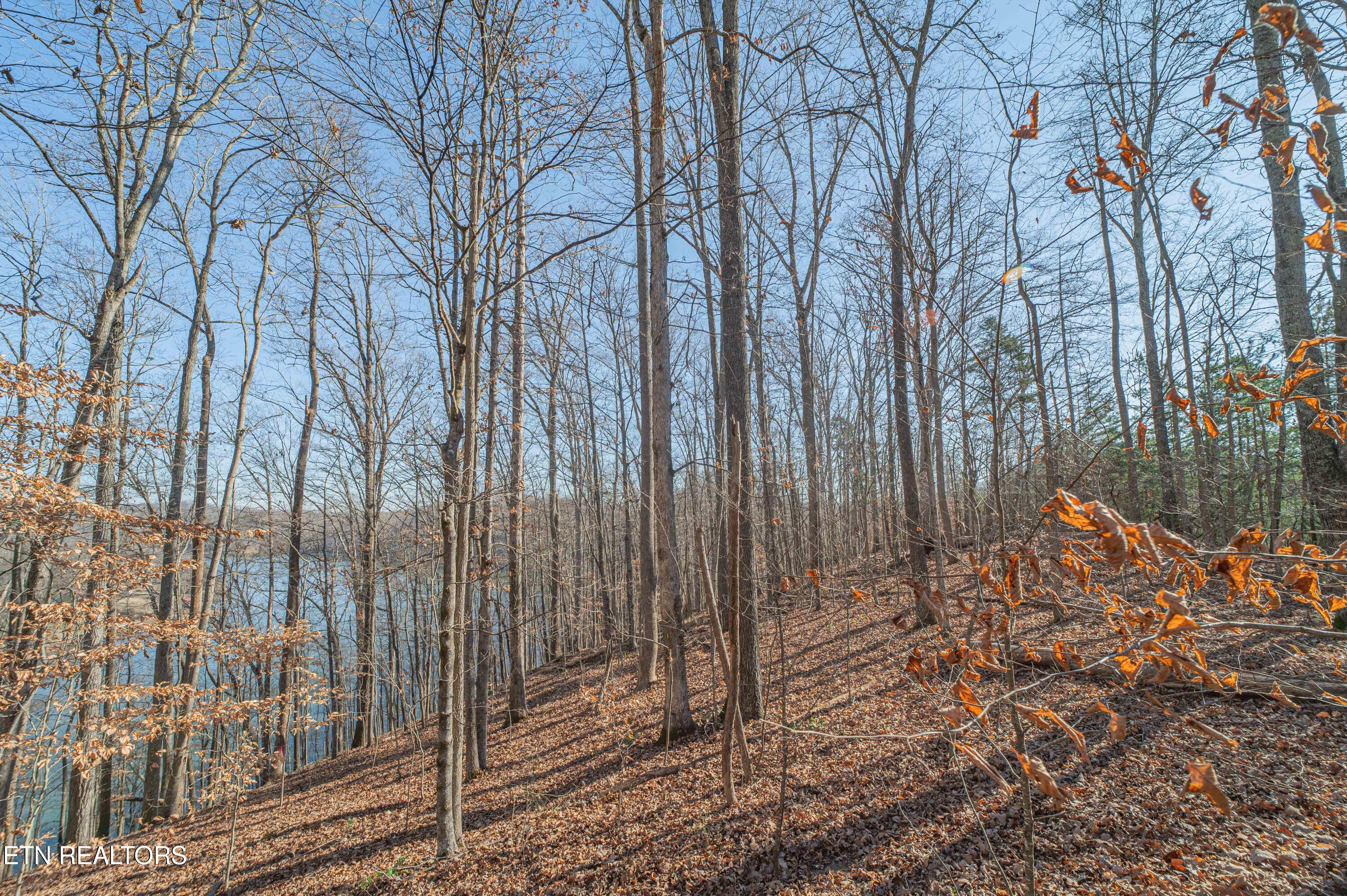 Sheerwater Road Kingston TN 37763