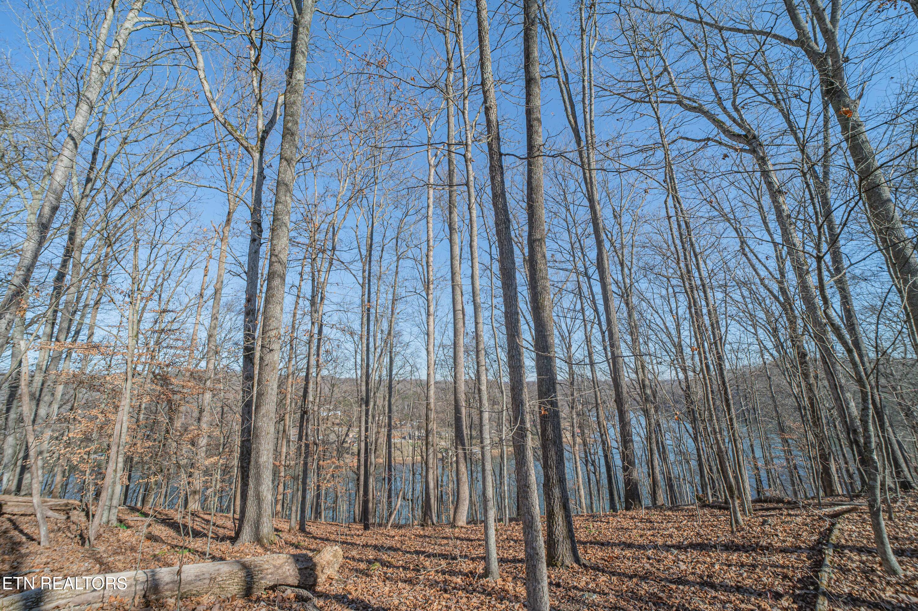 Sheerwater Road Kingston TN 37763