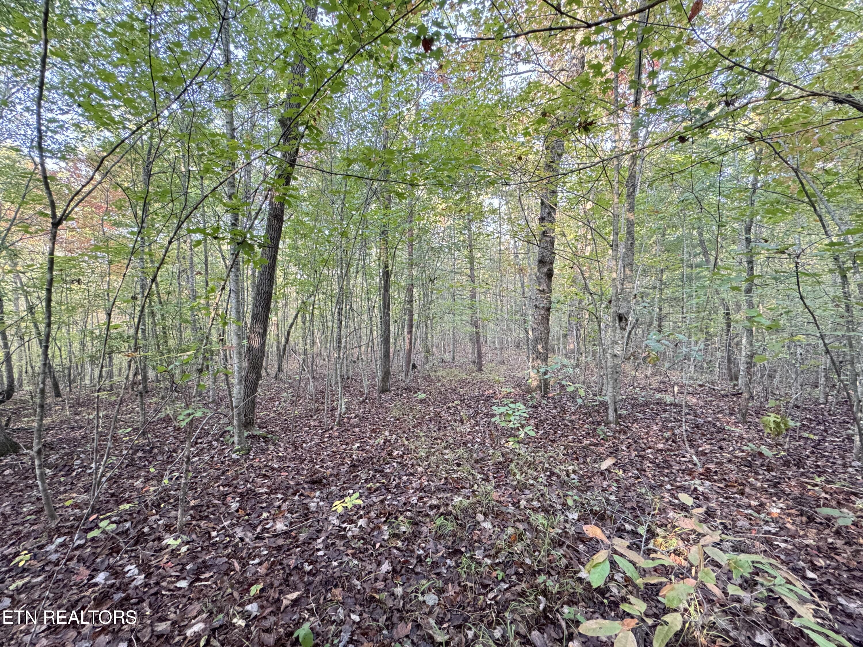 Lot 7 Crest View Drive Sunbright TN 37872