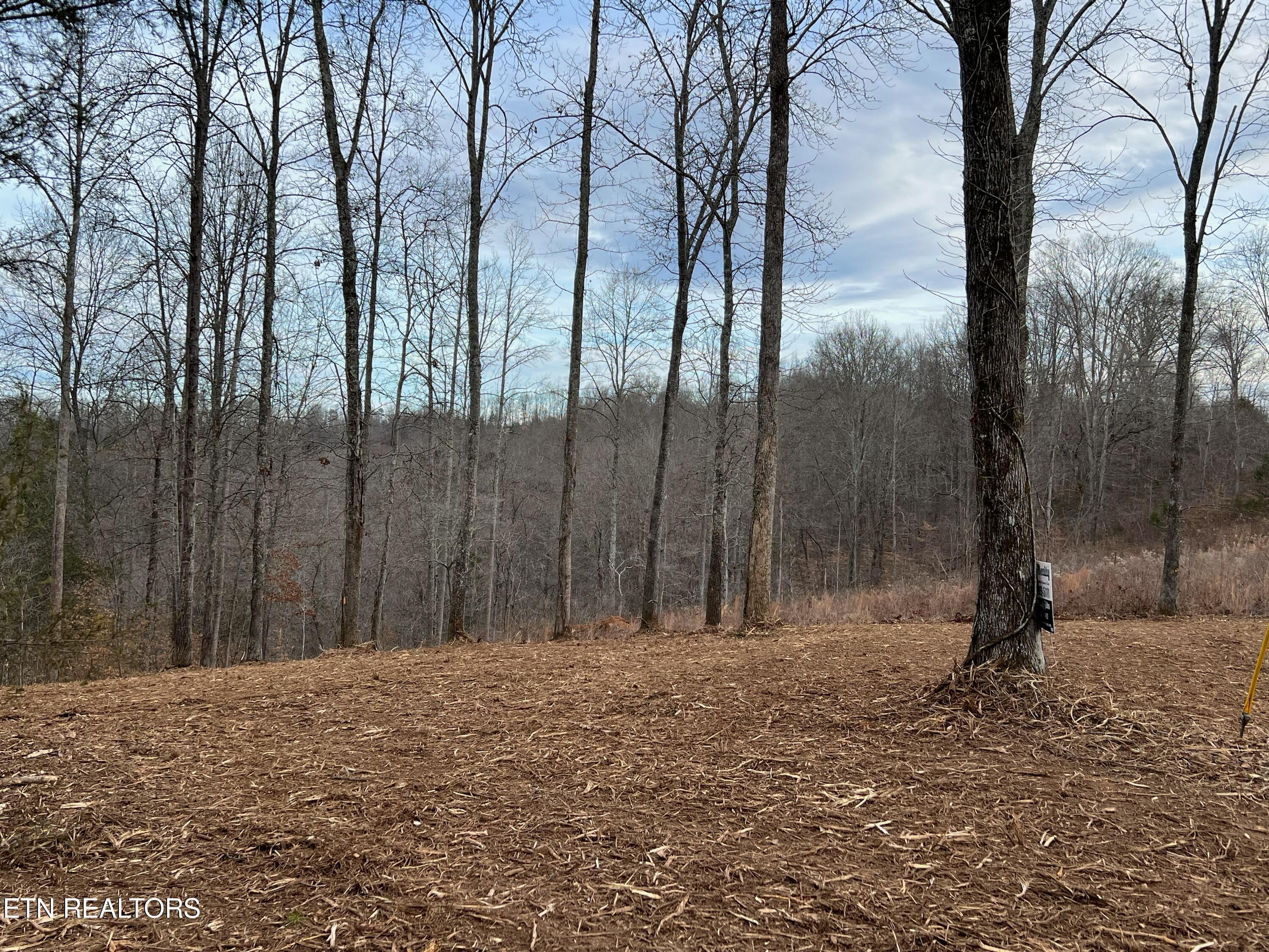 92 Lot Saddleridge Drive Speedwell TN 37870