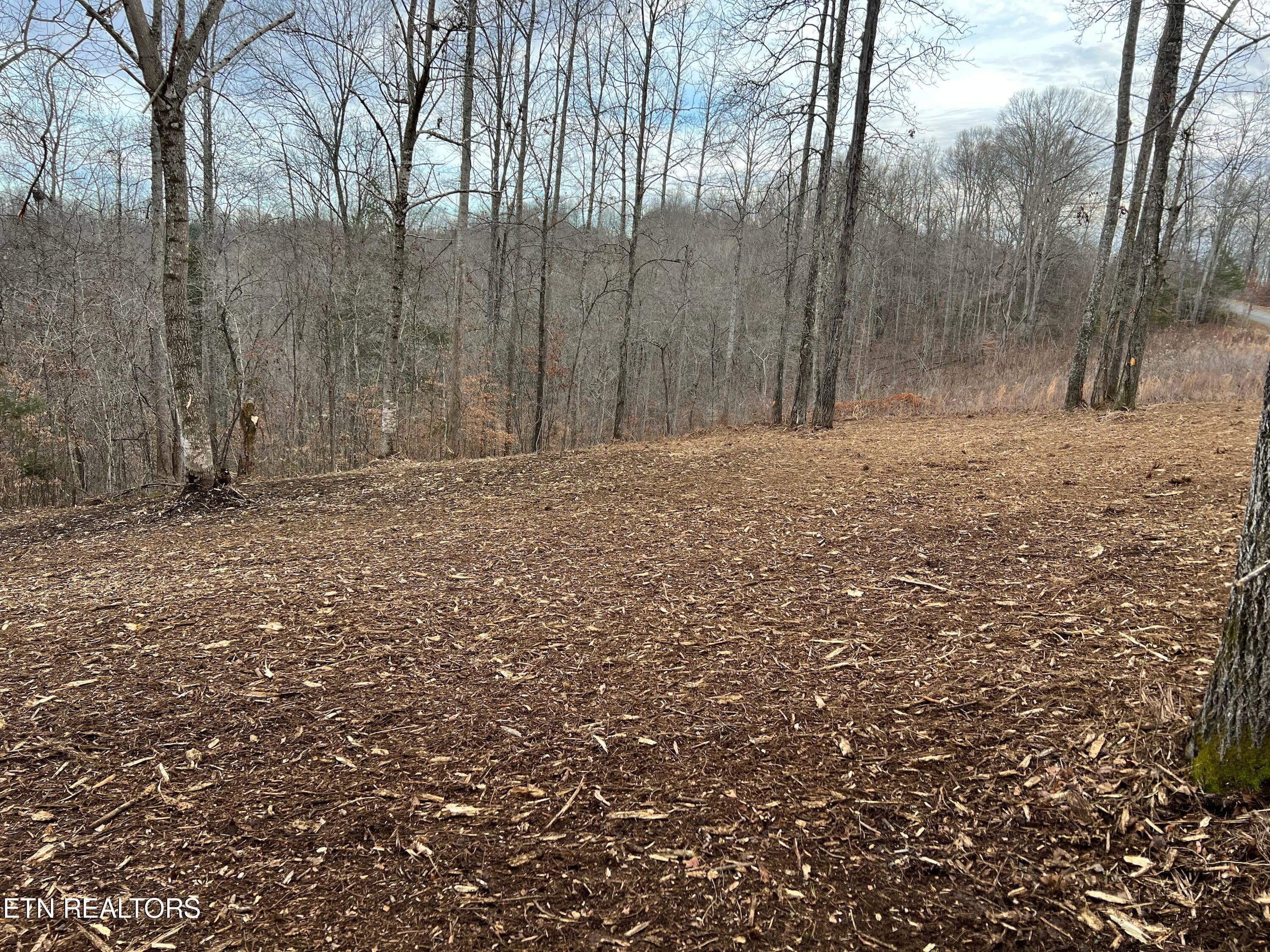 92 Lot Saddleridge Drive Speedwell TN 37870