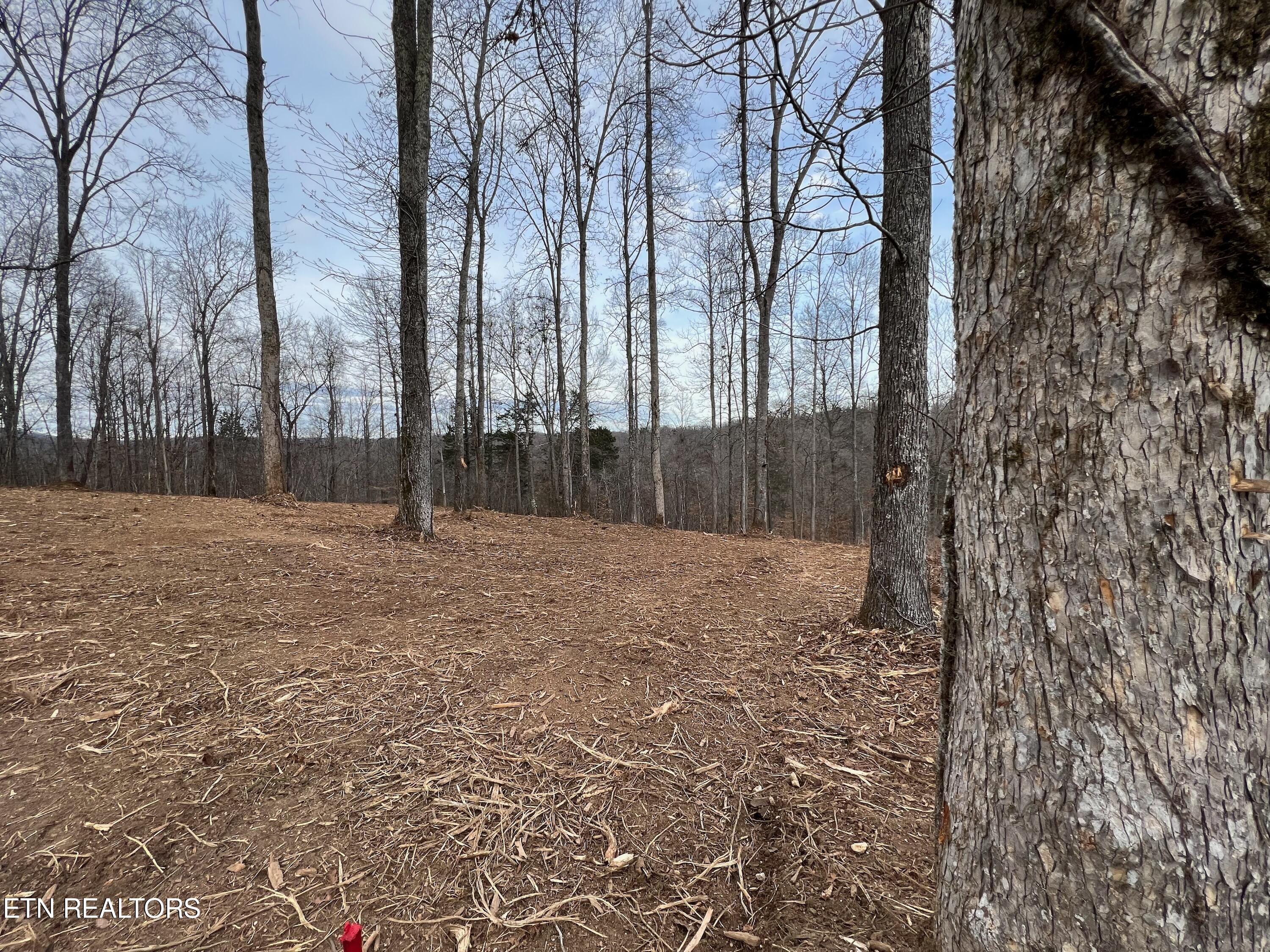 92 Lot Saddleridge Drive Speedwell TN 37870