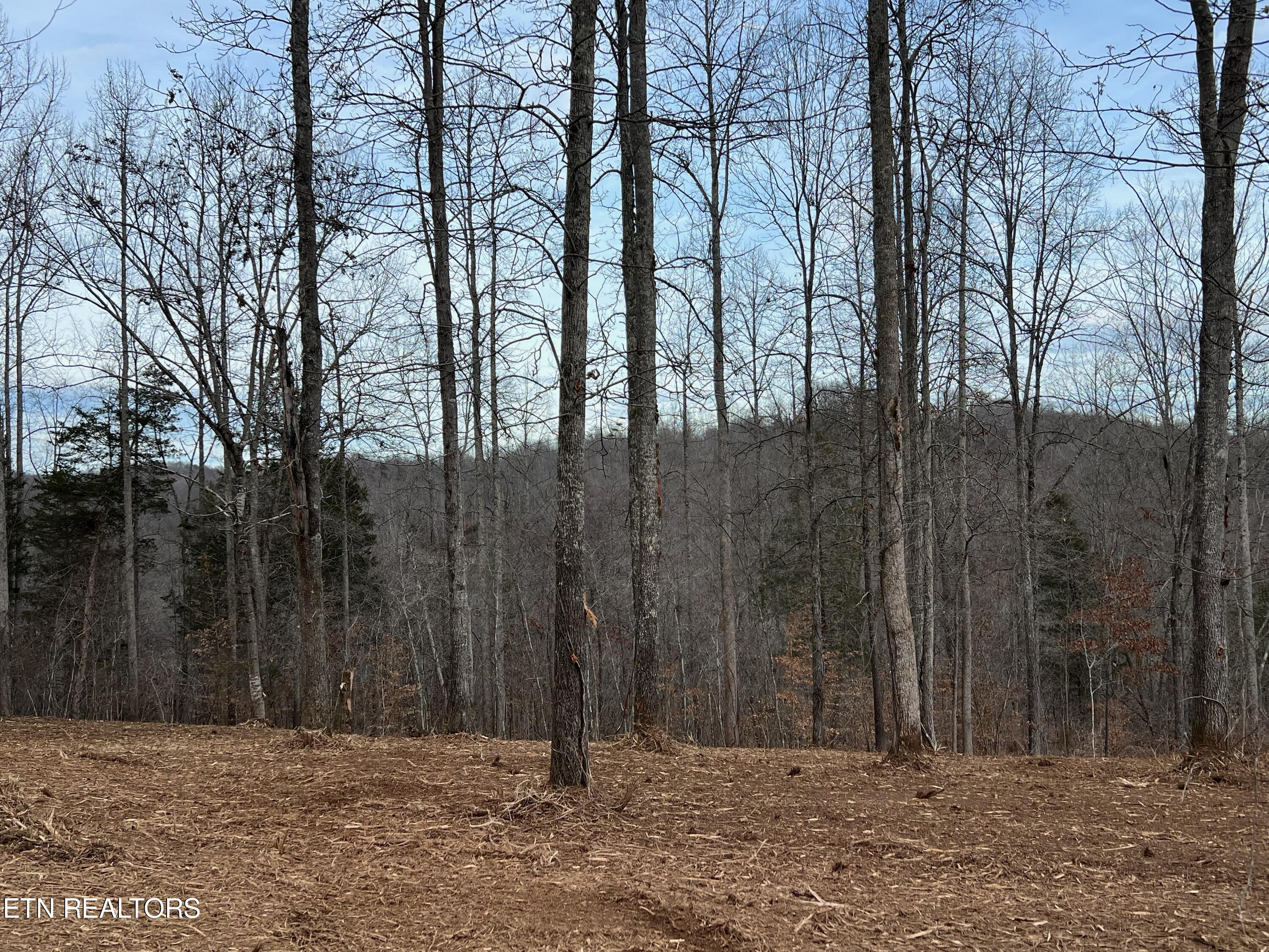 92 Lot Saddleridge Drive Speedwell TN 37870