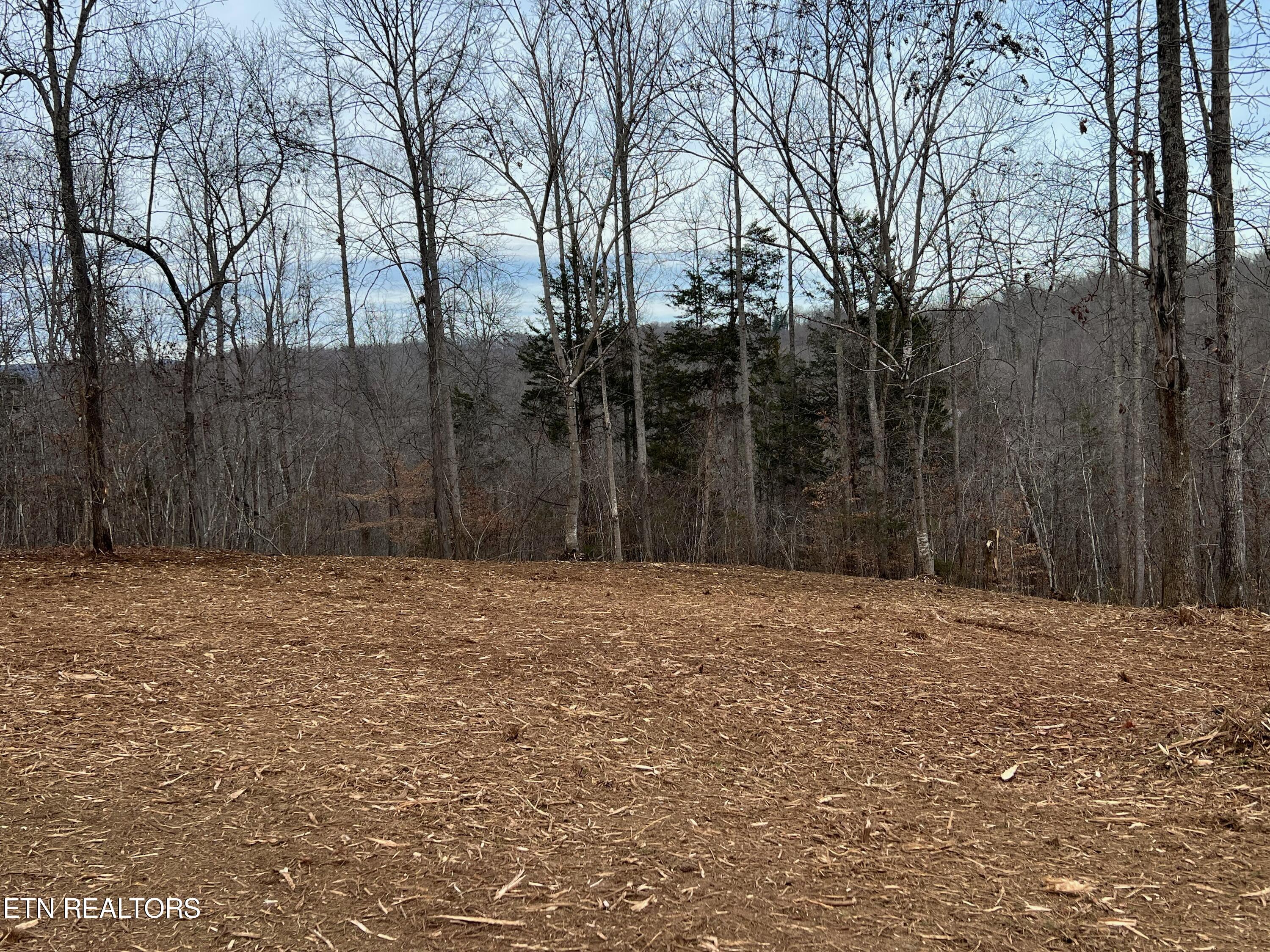 92 Lot Saddleridge Drive Speedwell TN 37870