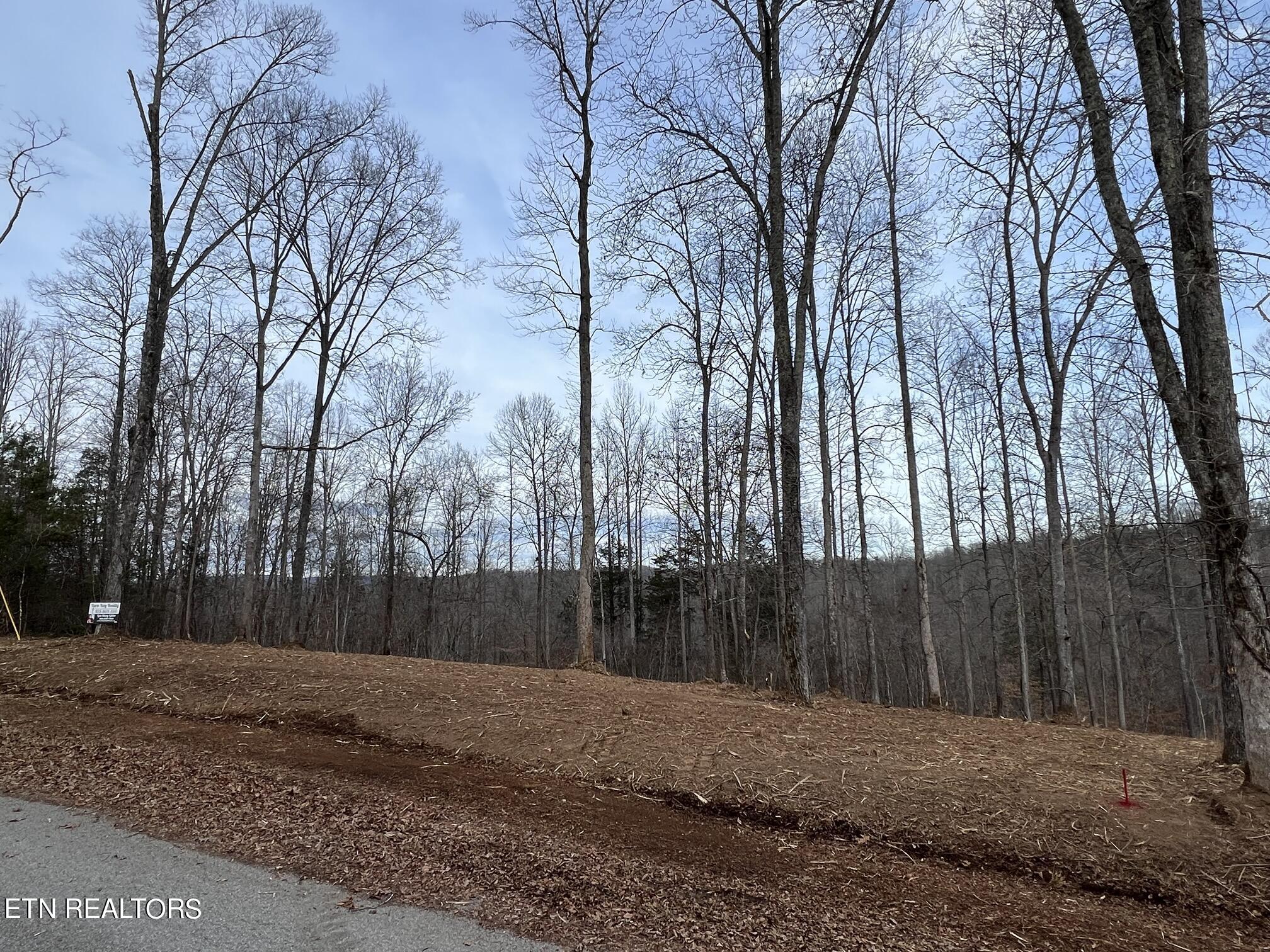 92 Lot Saddleridge Drive Speedwell TN 37870