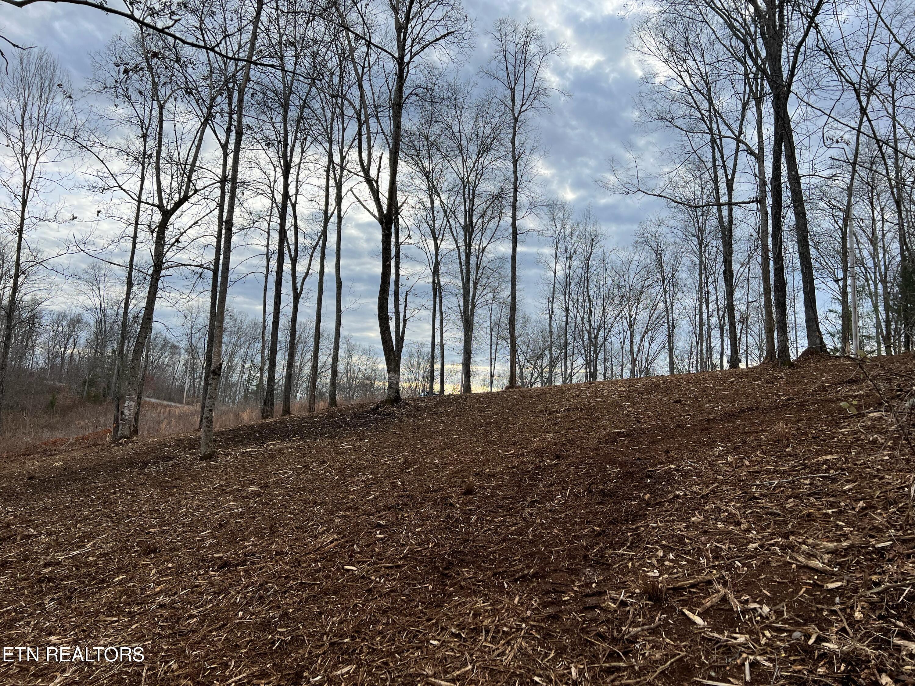 92 Lot Saddleridge Drive Speedwell TN 37870