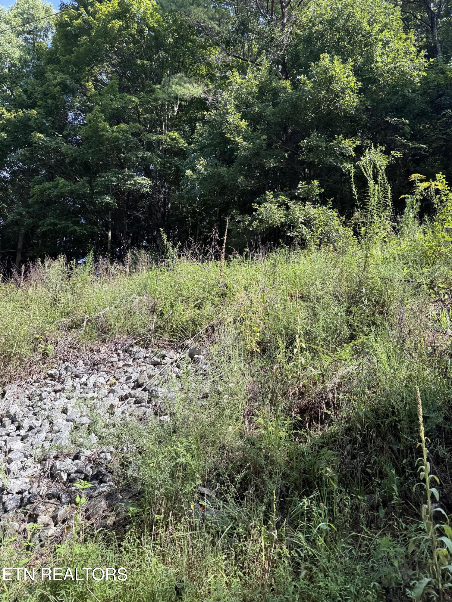 115 Hughes Hollow Road Philadelphia TN 37846