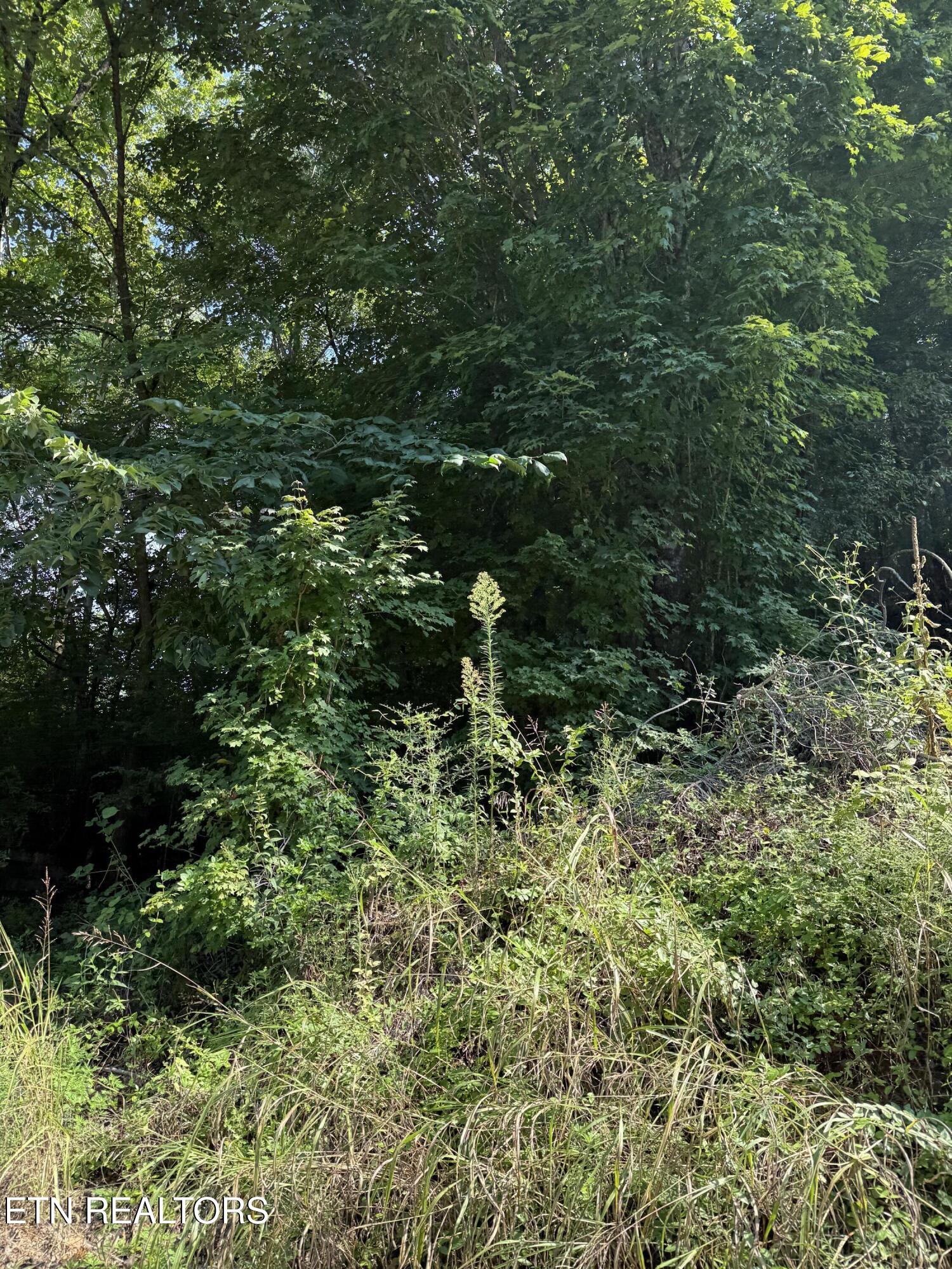 115 Hughes Hollow Road Philadelphia TN 37846