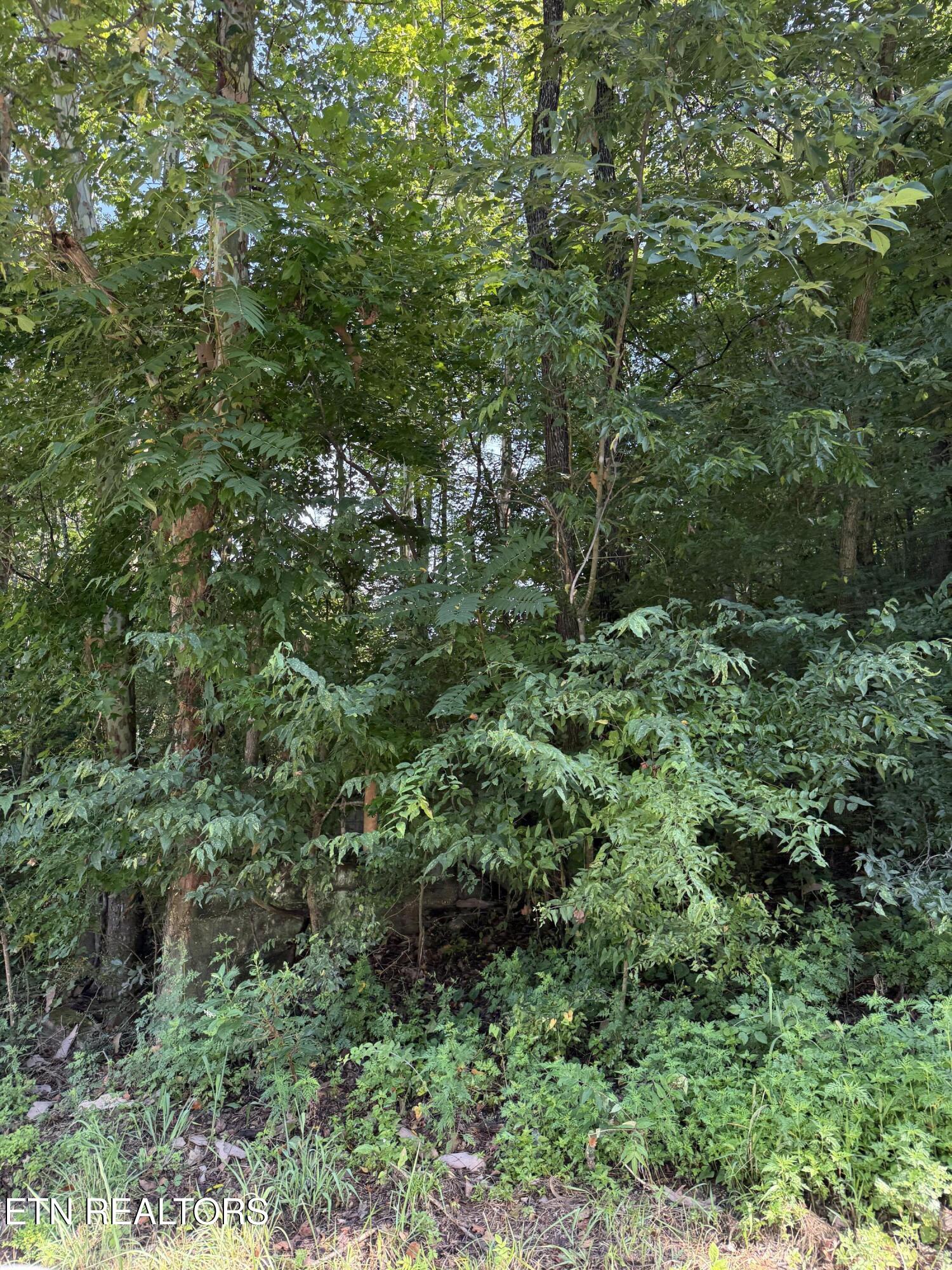 115 Hughes Hollow Road Philadelphia TN 37846