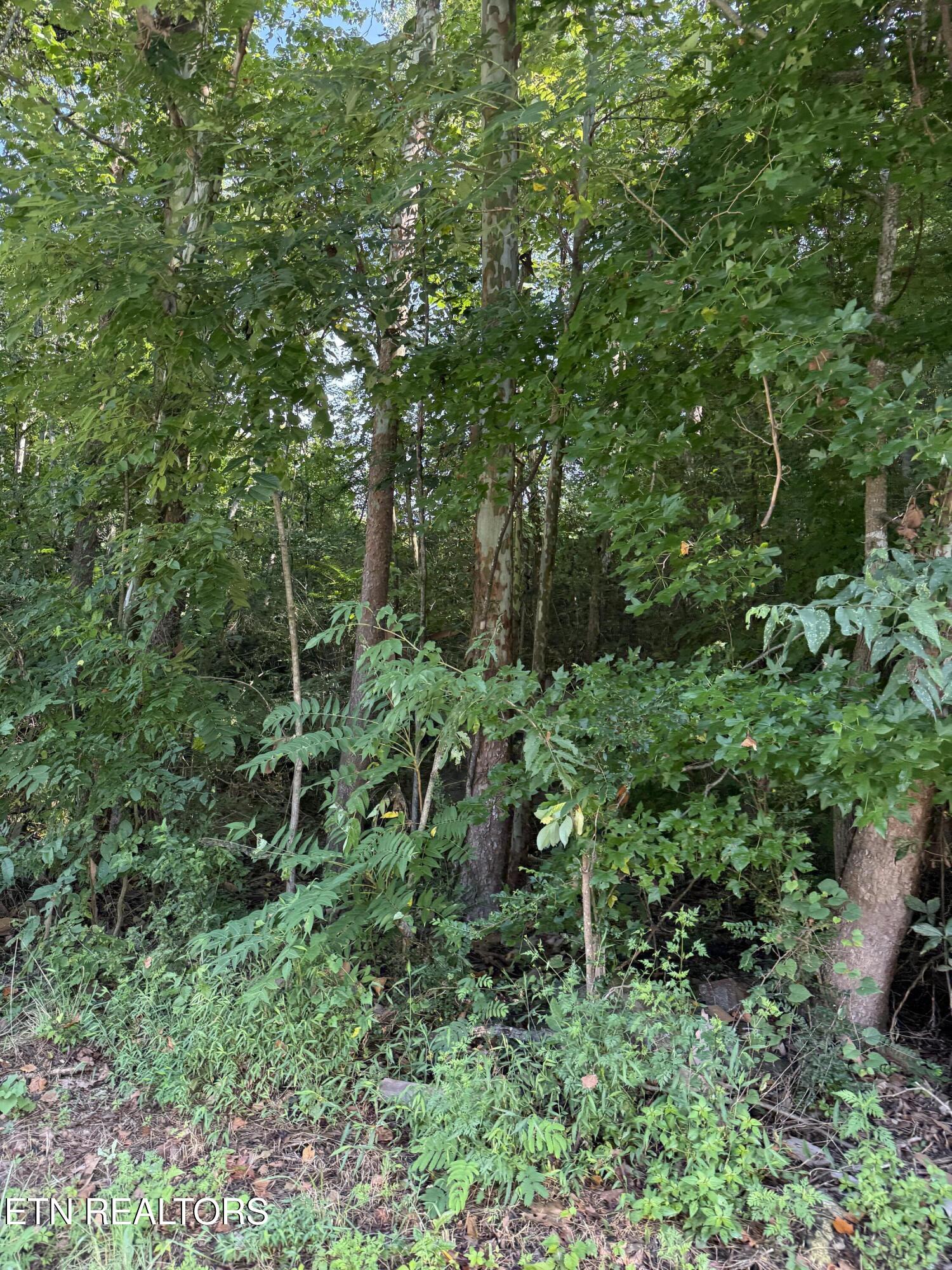 115 Hughes Hollow Road Philadelphia TN 37846