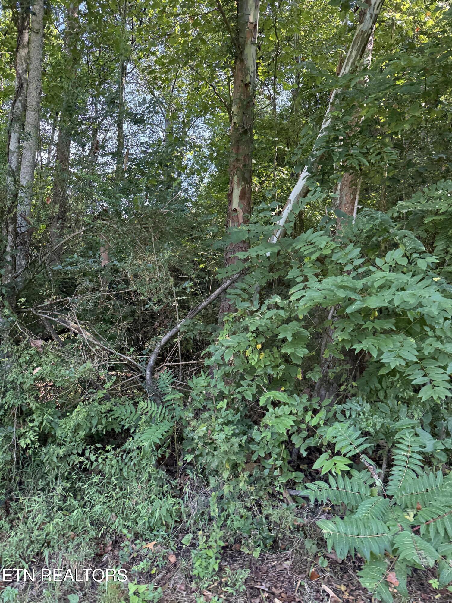 115 Hughes Hollow Road Philadelphia TN 37846
