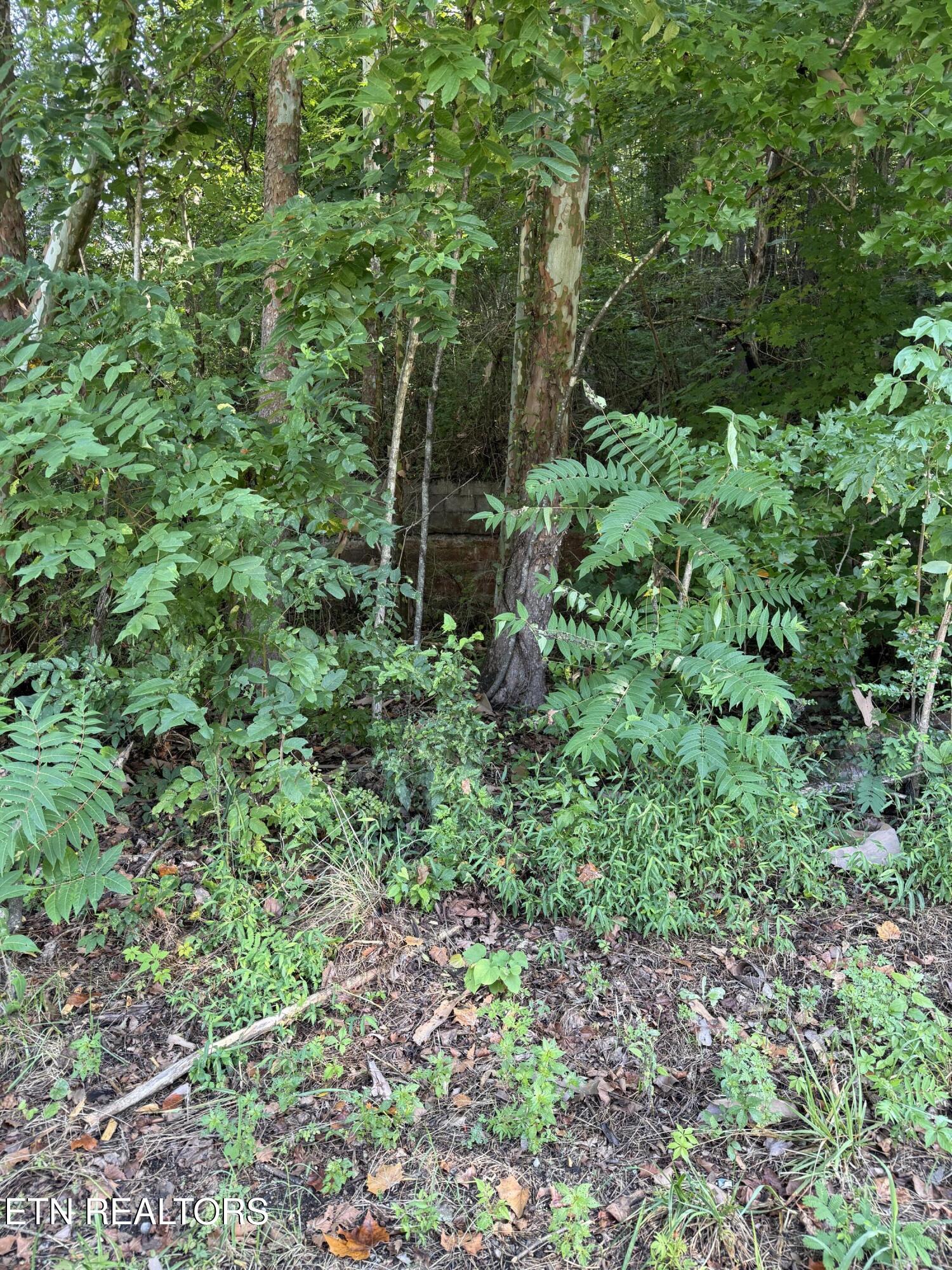 115 Hughes Hollow Road Philadelphia TN 37846