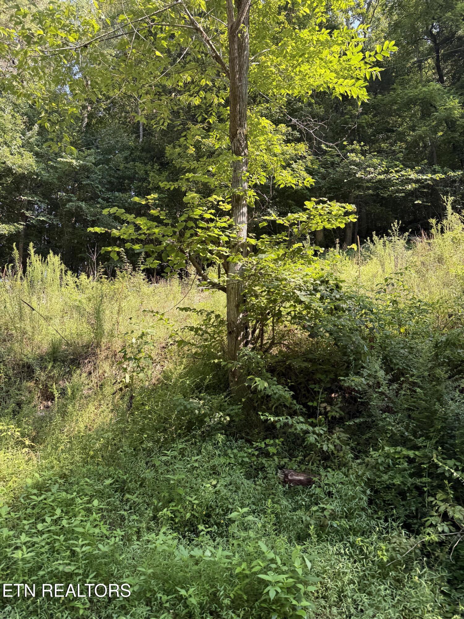 115 Hughes Hollow Road Philadelphia TN 37846