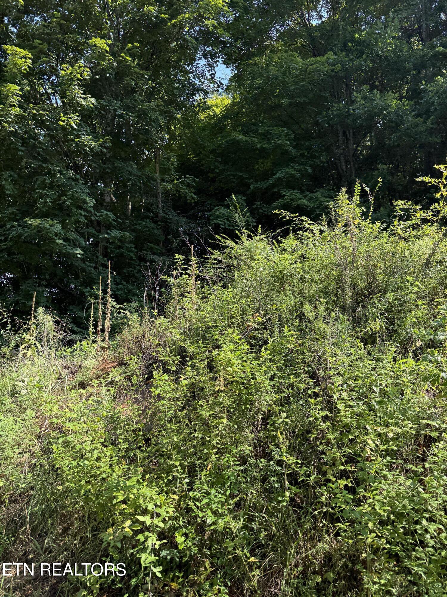 115 Hughes Hollow Road Philadelphia TN 37846