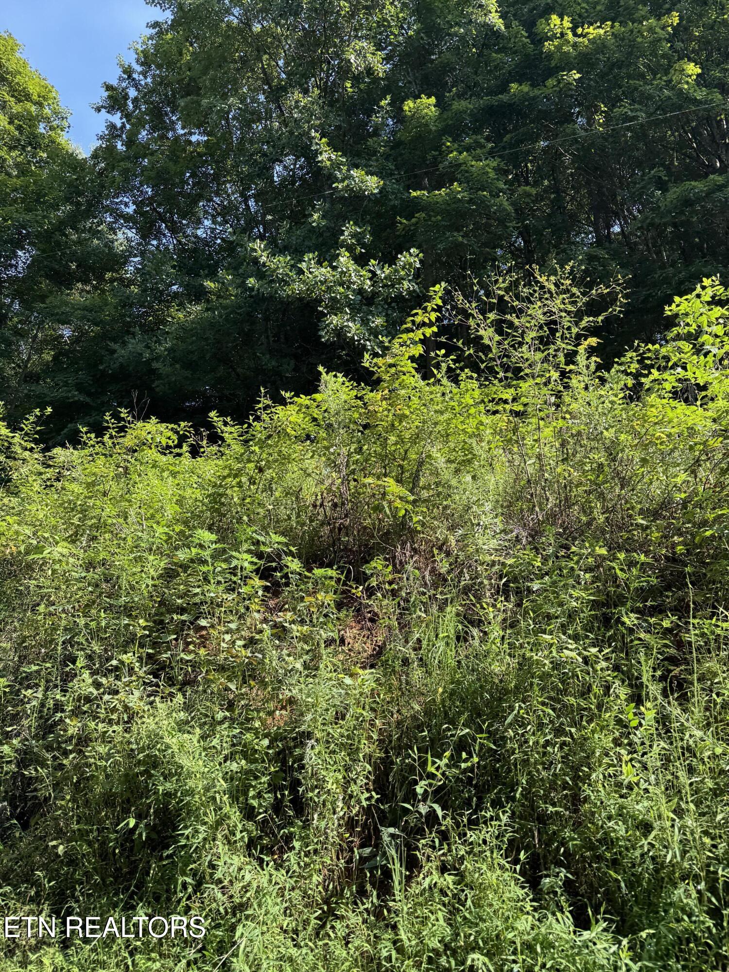 115 Hughes Hollow Road Philadelphia TN 37846