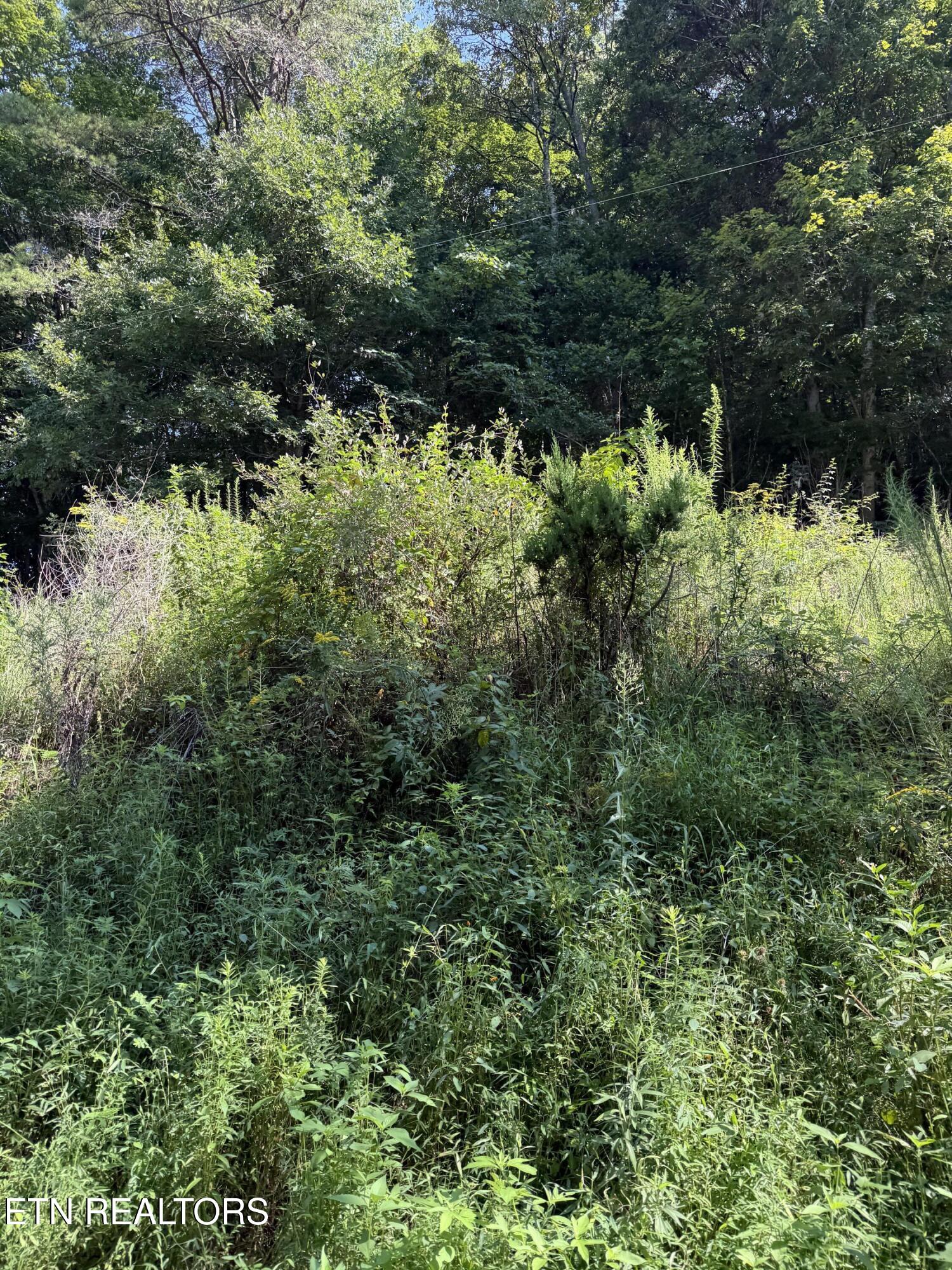115 Hughes Hollow Road Philadelphia TN 37846