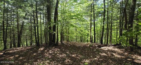 0 Carmel Ridge Pvt Drive Robbins TN 37852