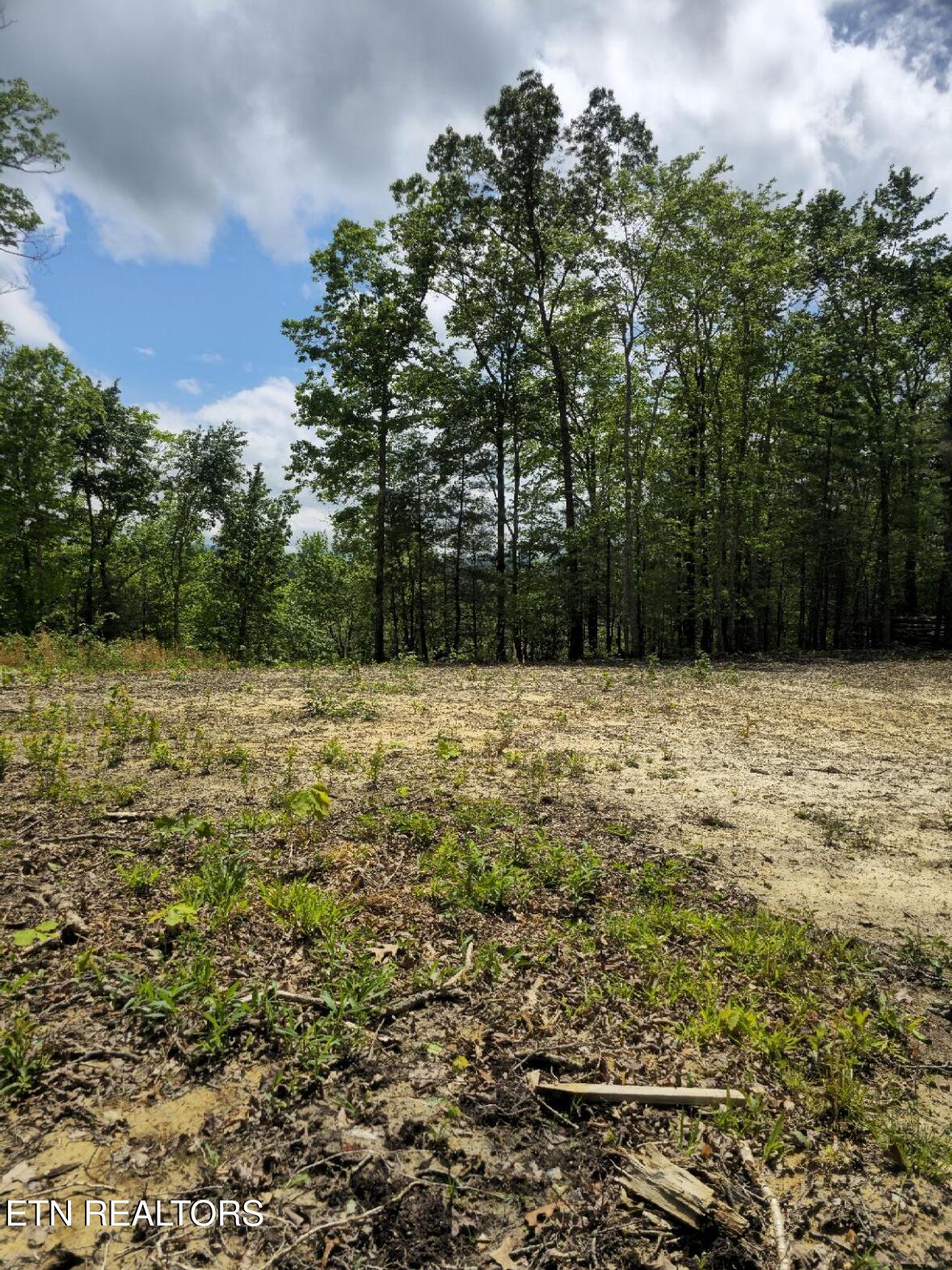 0 Carmel Ridge Pvt Drive Robbins TN 37852