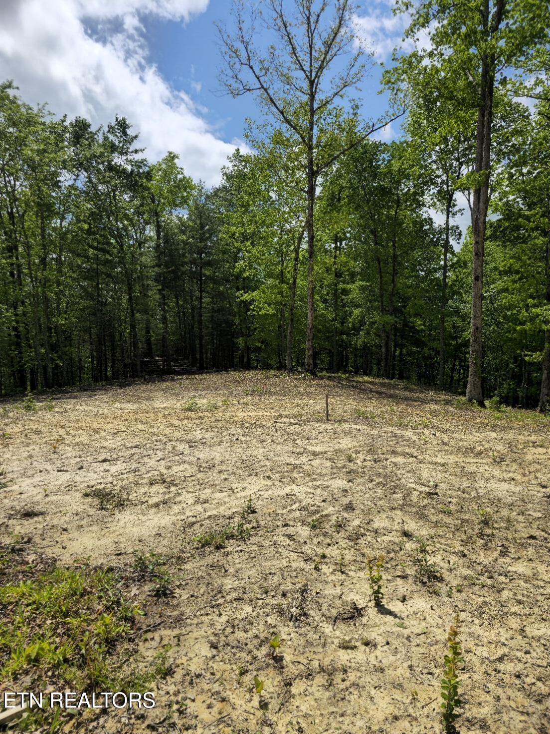 0 Carmel Ridge Pvt Drive Robbins TN 37852