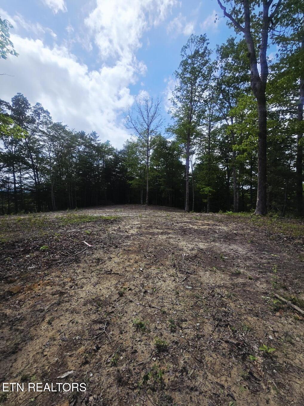 0 Carmel Ridge Pvt Drive Robbins TN 37852