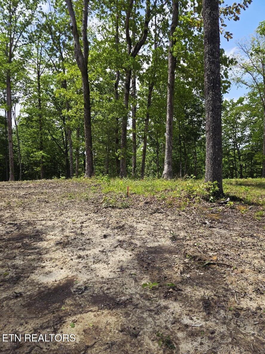 0 Carmel Ridge Pvt Drive Robbins TN 37852