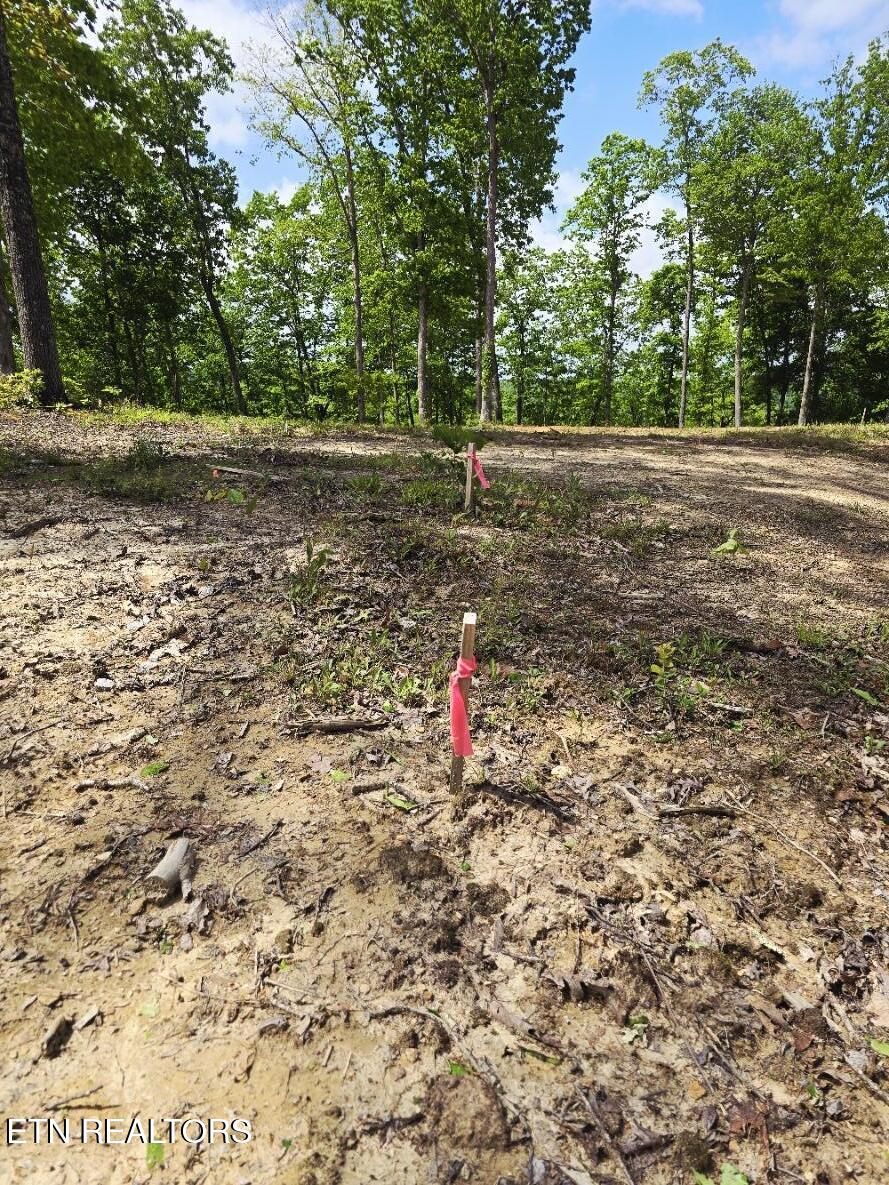 0 Carmel Ridge Pvt Drive Robbins TN 37852