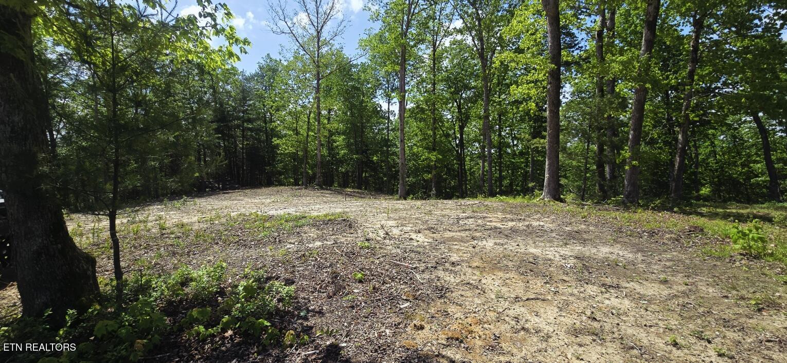 0 Carmel Ridge Pvt Drive Robbins TN 37852