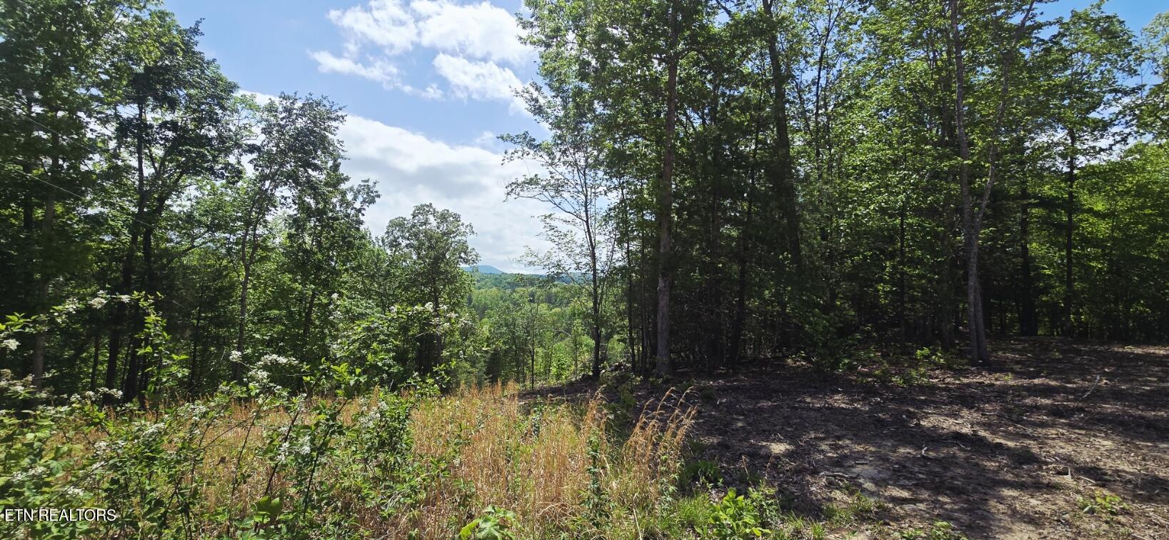 0 Carmel Ridge Pvt Drive Robbins TN 37852