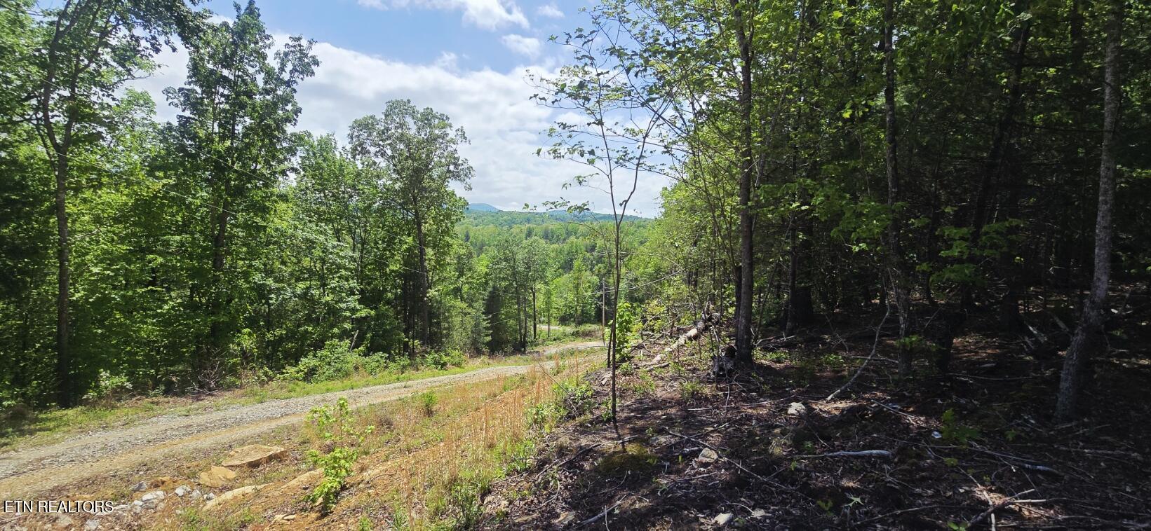 0 Carmel Ridge Pvt Drive Robbins TN 37852