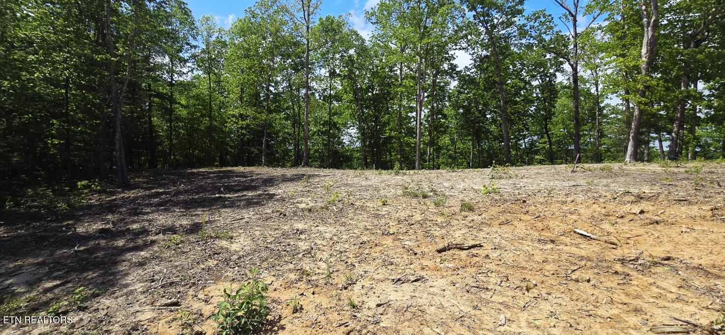 0 Carmel Ridge Pvt Drive Robbins TN 37852