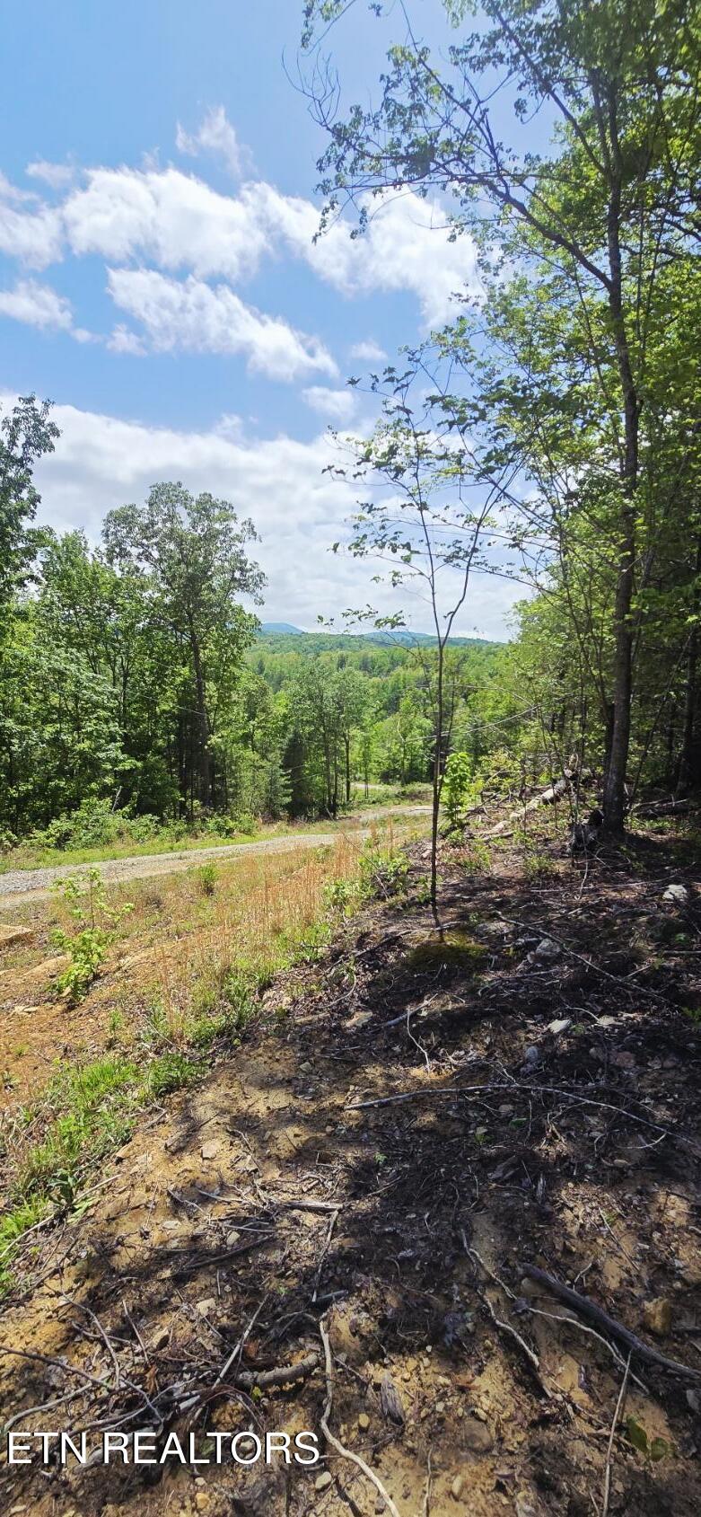 0 Carmel Ridge Pvt Drive Robbins TN 37852