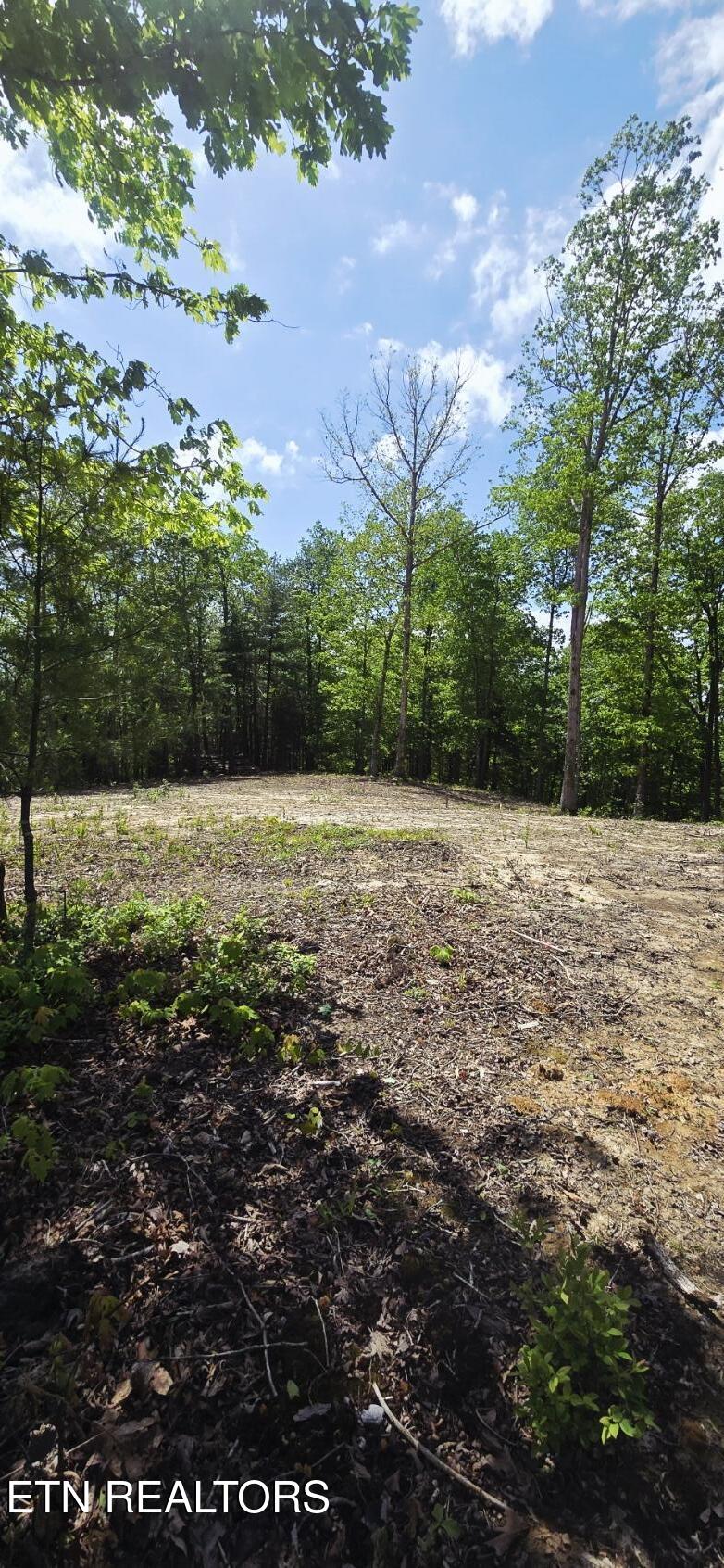 0 Carmel Ridge Pvt Drive Robbins TN 37852