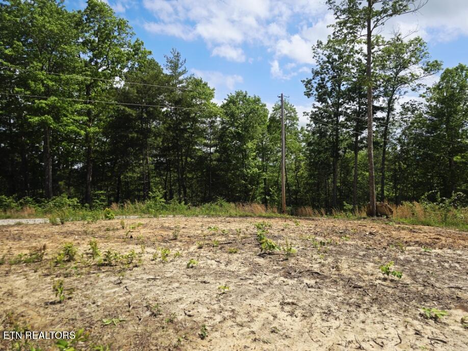 0 Carmel Ridge Pvt Drive Robbins TN 37852
