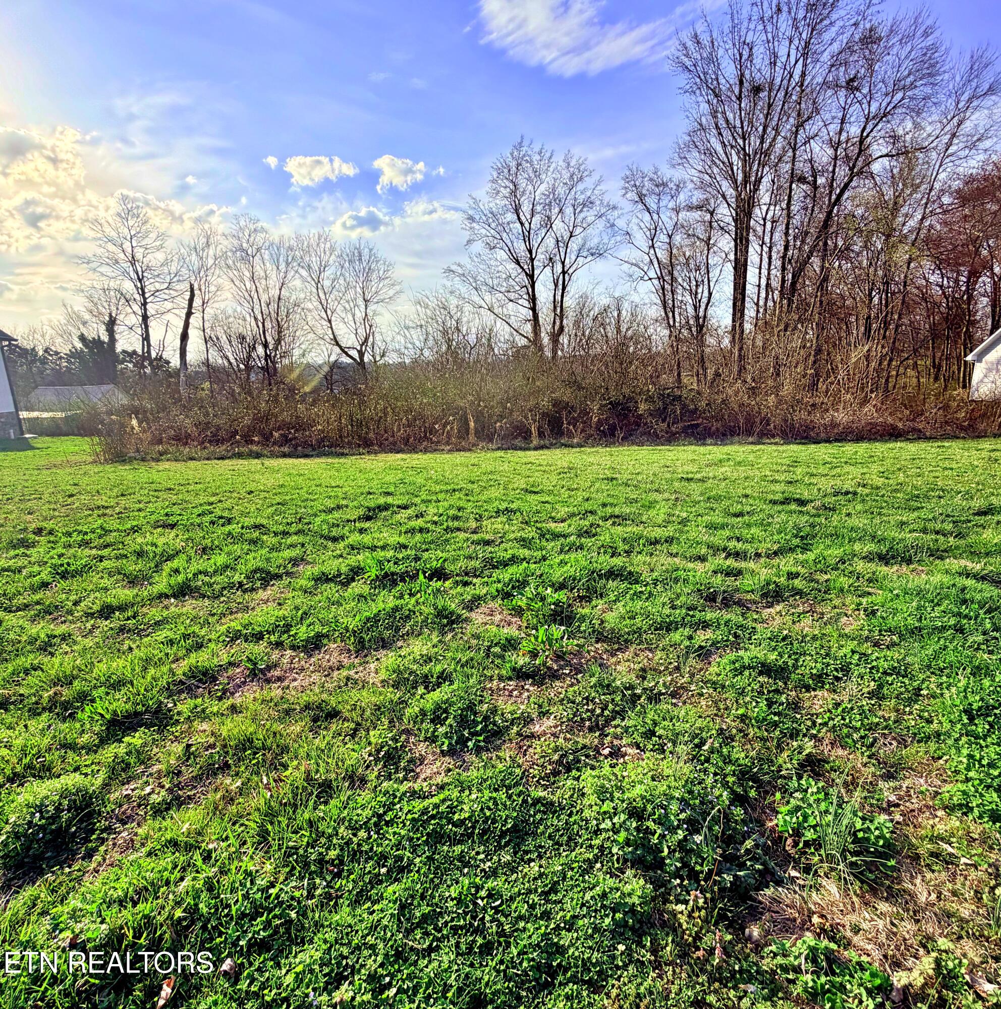 103 Shadows Lawn Drive Athens TN 37303