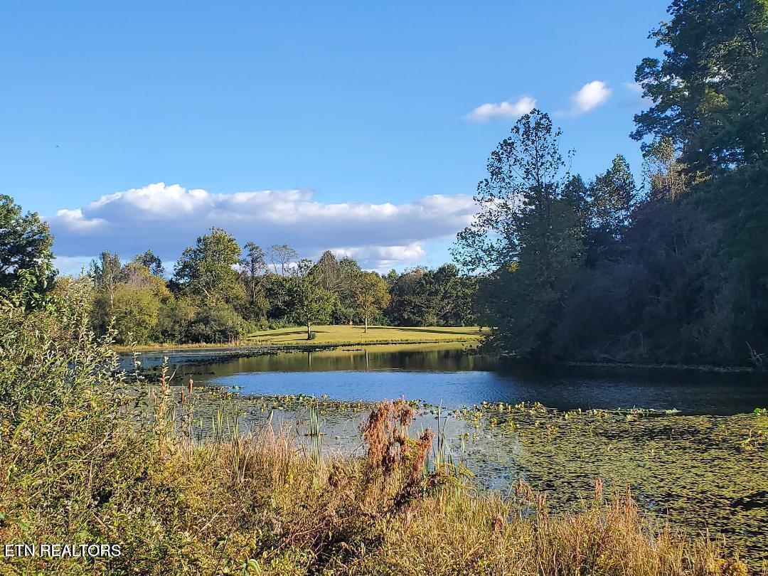 2036 Helenwood Detour Road Helenwood TN 37755