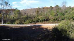 2036 Helenwood Detour Road Helenwood TN 37755