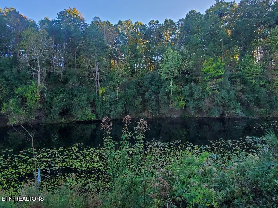 2036 Helenwood Detour Road Helenwood TN 37755