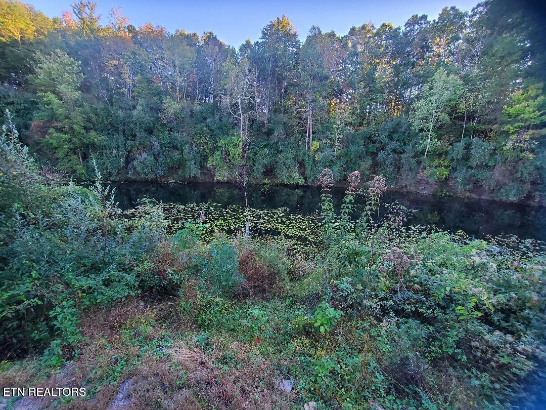 2036 Helenwood Detour Road Helenwood TN 37755
