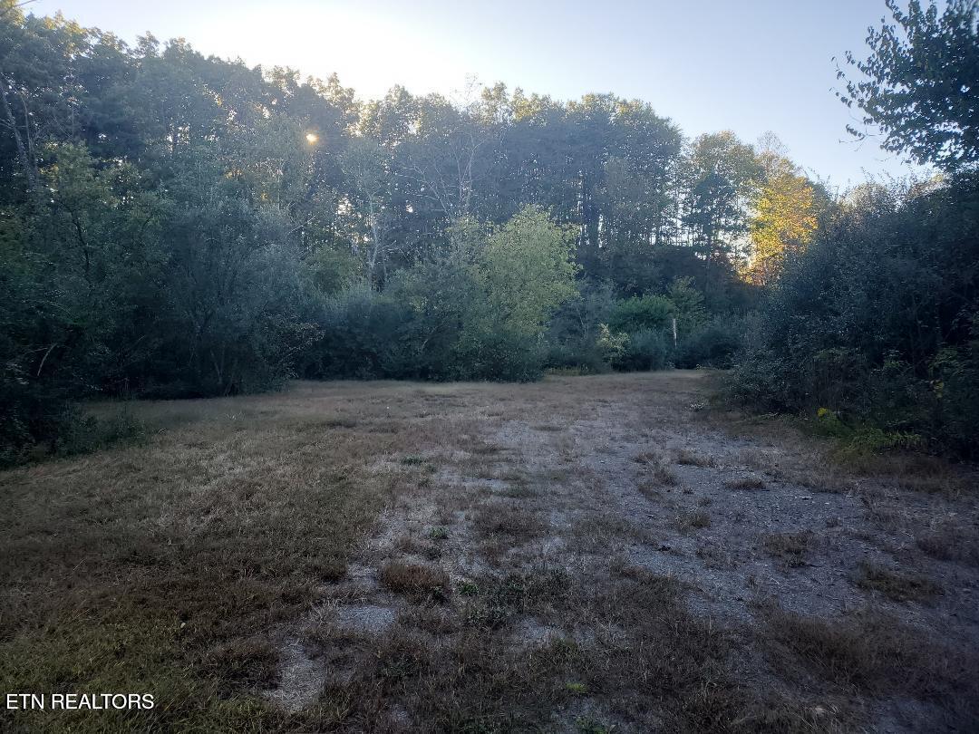 2036 Helenwood Detour Road Helenwood TN 37755