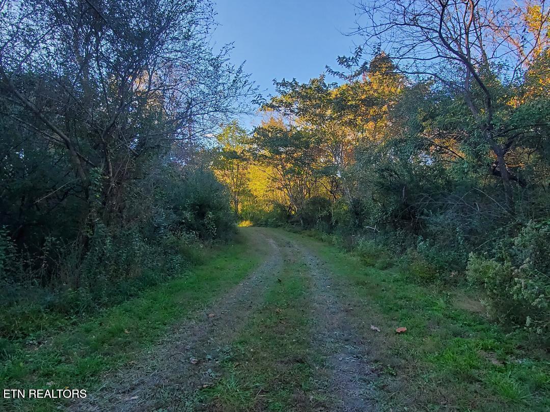 2036 Helenwood Detour Road Helenwood TN 37755