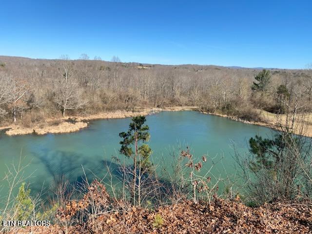 2036 Helenwood Detour Road Helenwood TN 37755