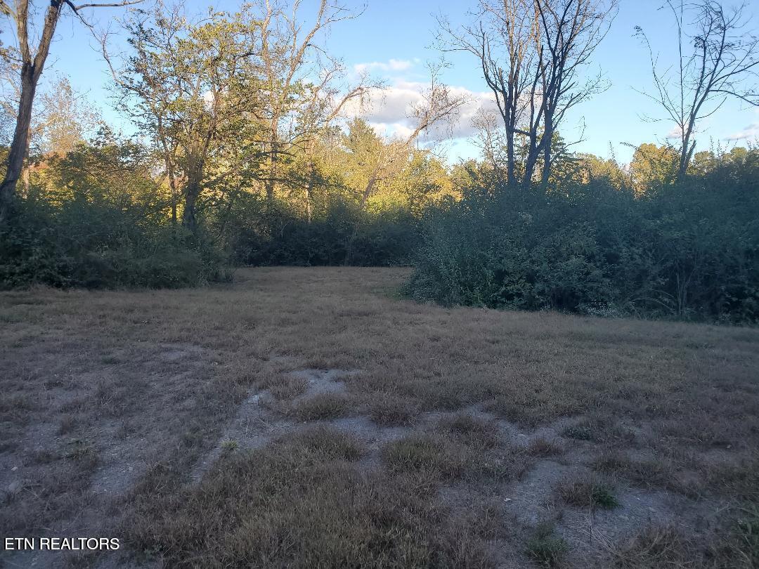 2036 Helenwood Detour Road Helenwood TN 37755