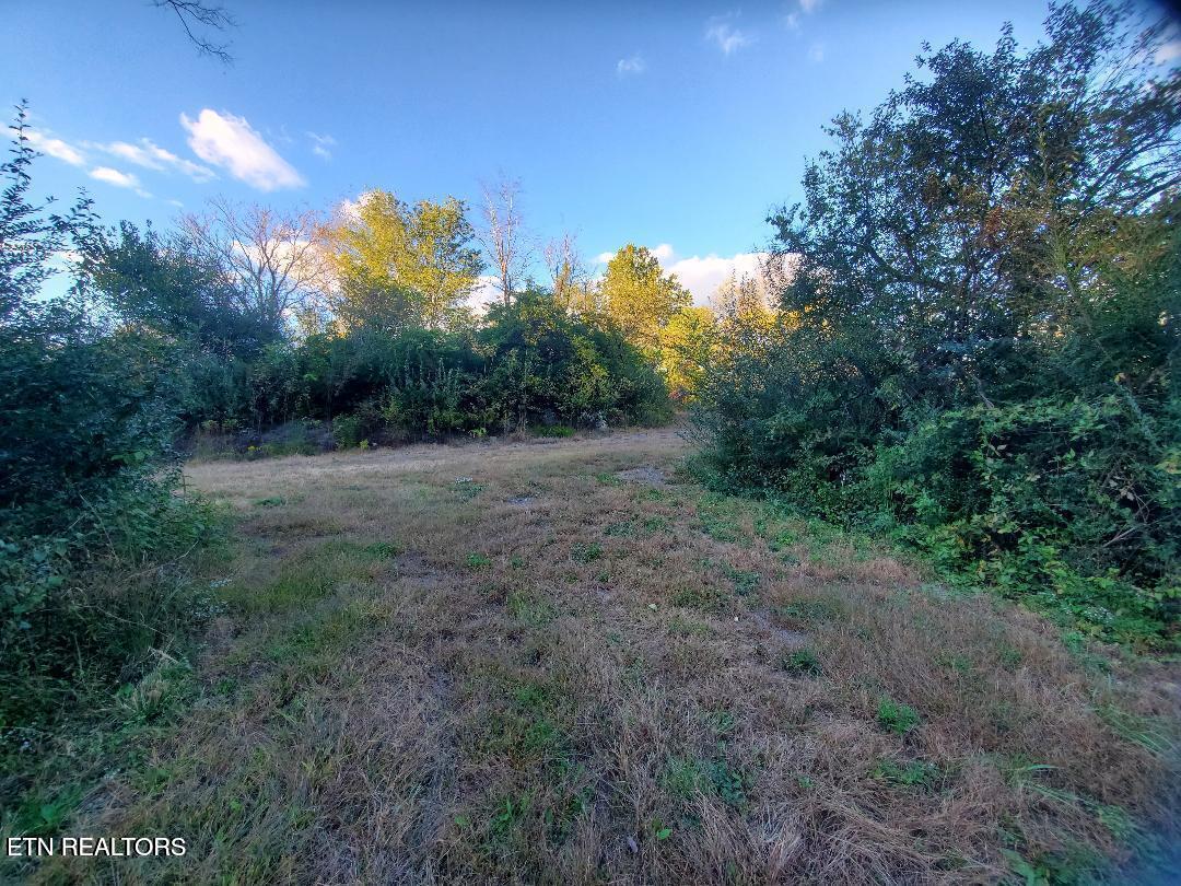 2036 Helenwood Detour Road Helenwood TN 37755