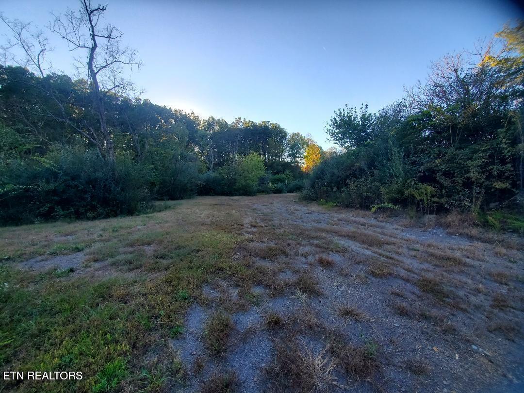 2036 Helenwood Detour Road Helenwood TN 37755