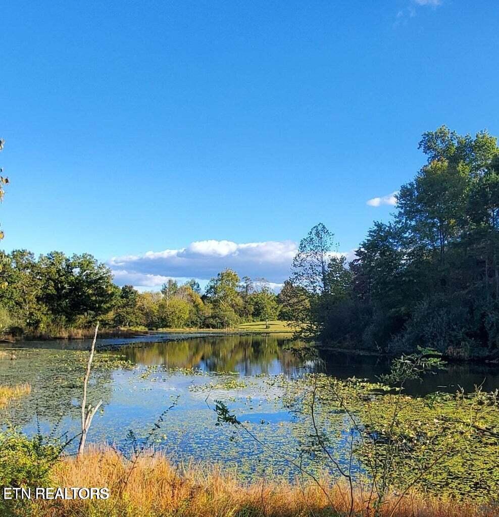2036 Helenwood Detour Road Helenwood TN 37755