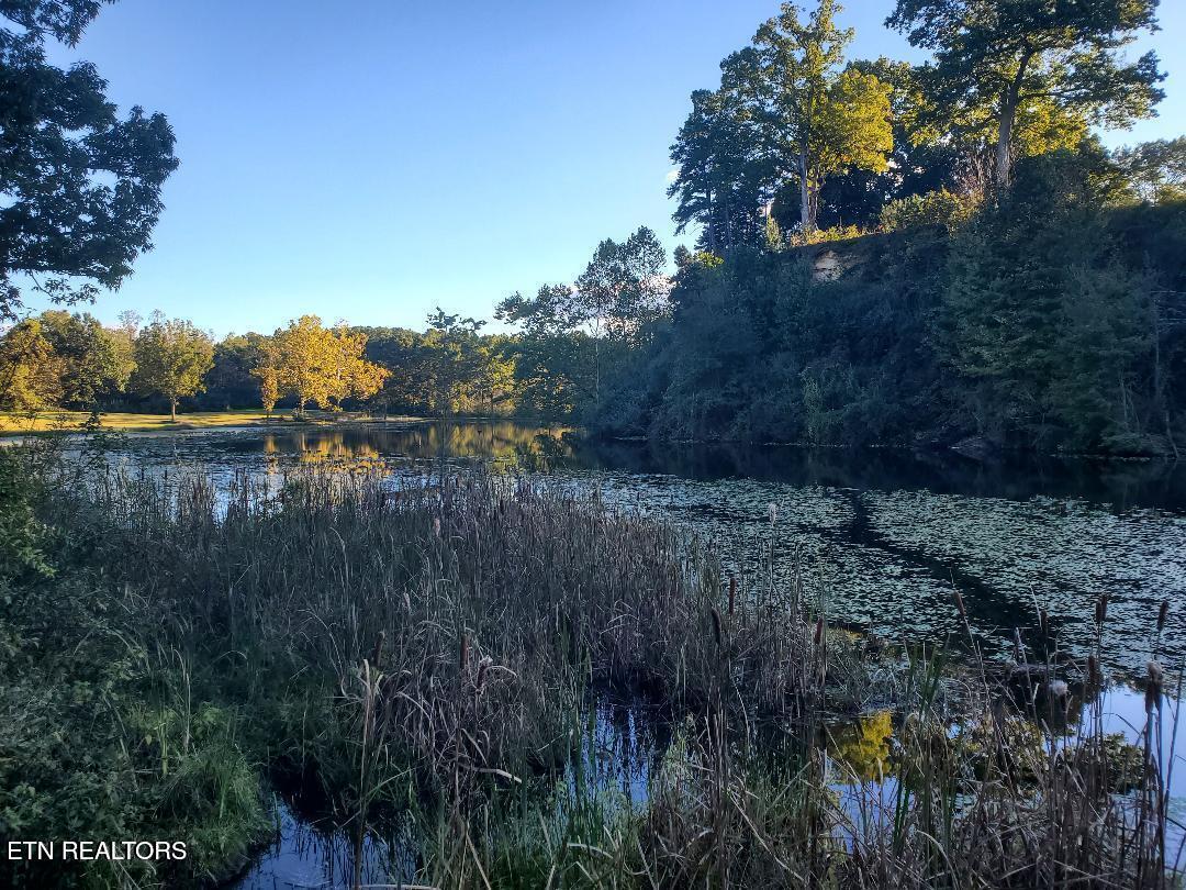 2036 Helenwood Detour Road Helenwood TN 37755