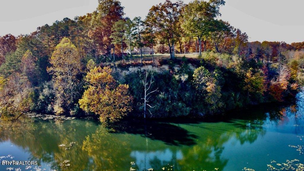 2036 Helenwood Detour Road Helenwood TN 37755