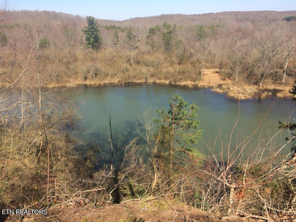 2036 Helenwood Detour Road Helenwood TN 37755