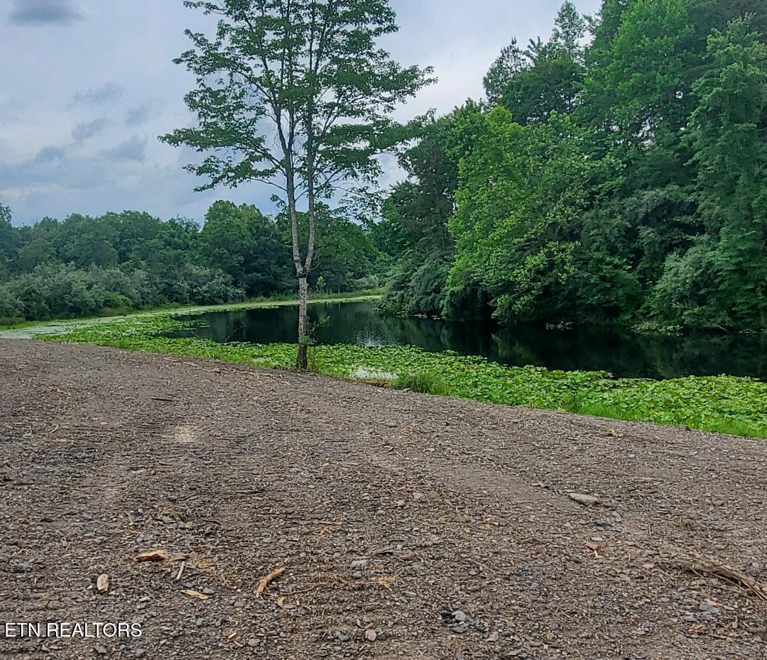 2036 Helenwood Detour Road Helenwood TN 37755