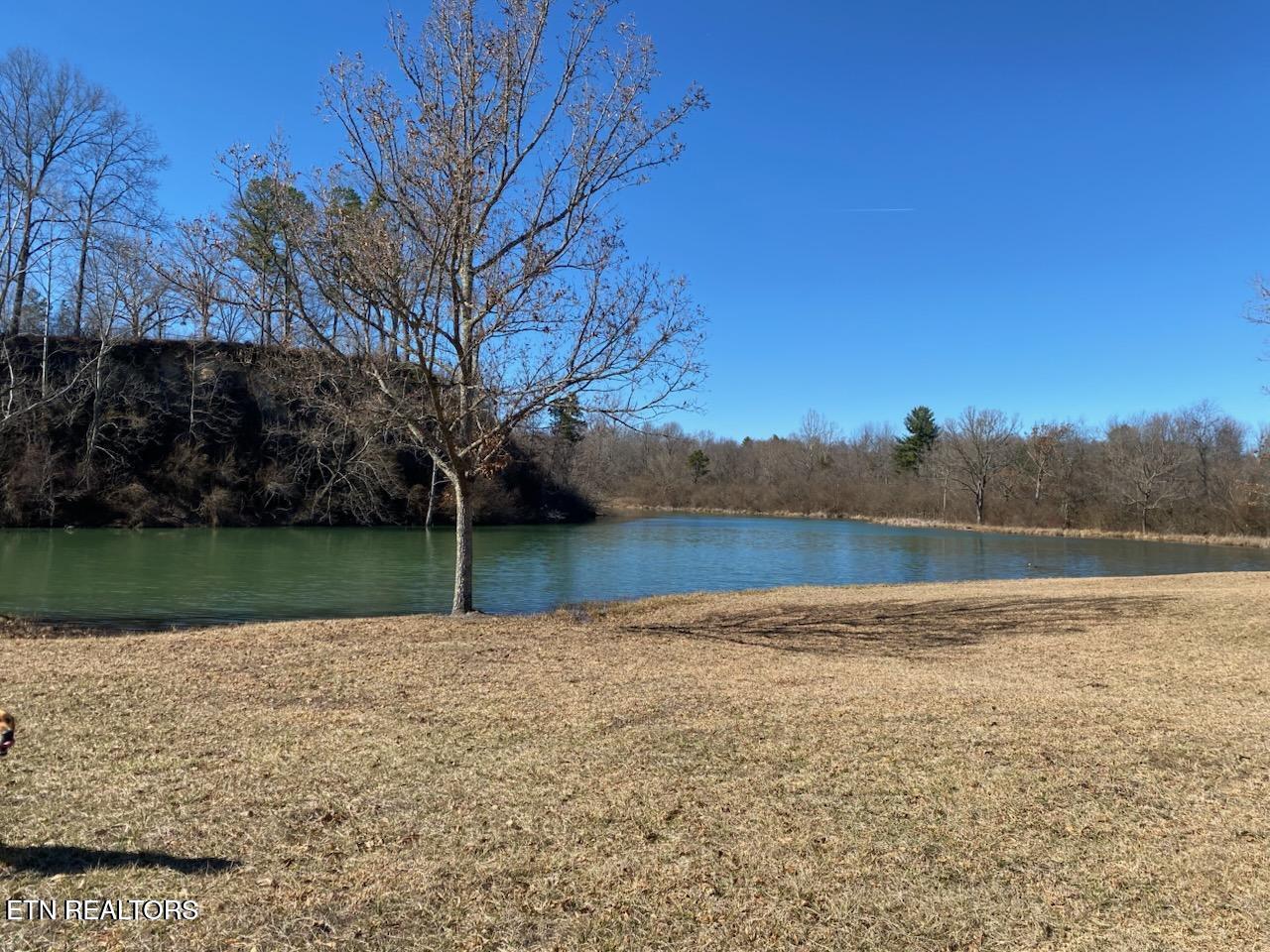 2036 Helenwood Detour Road Helenwood TN 37755